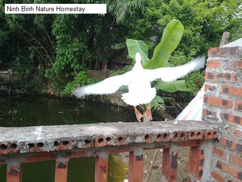 Ninh Binh Nature Homestay